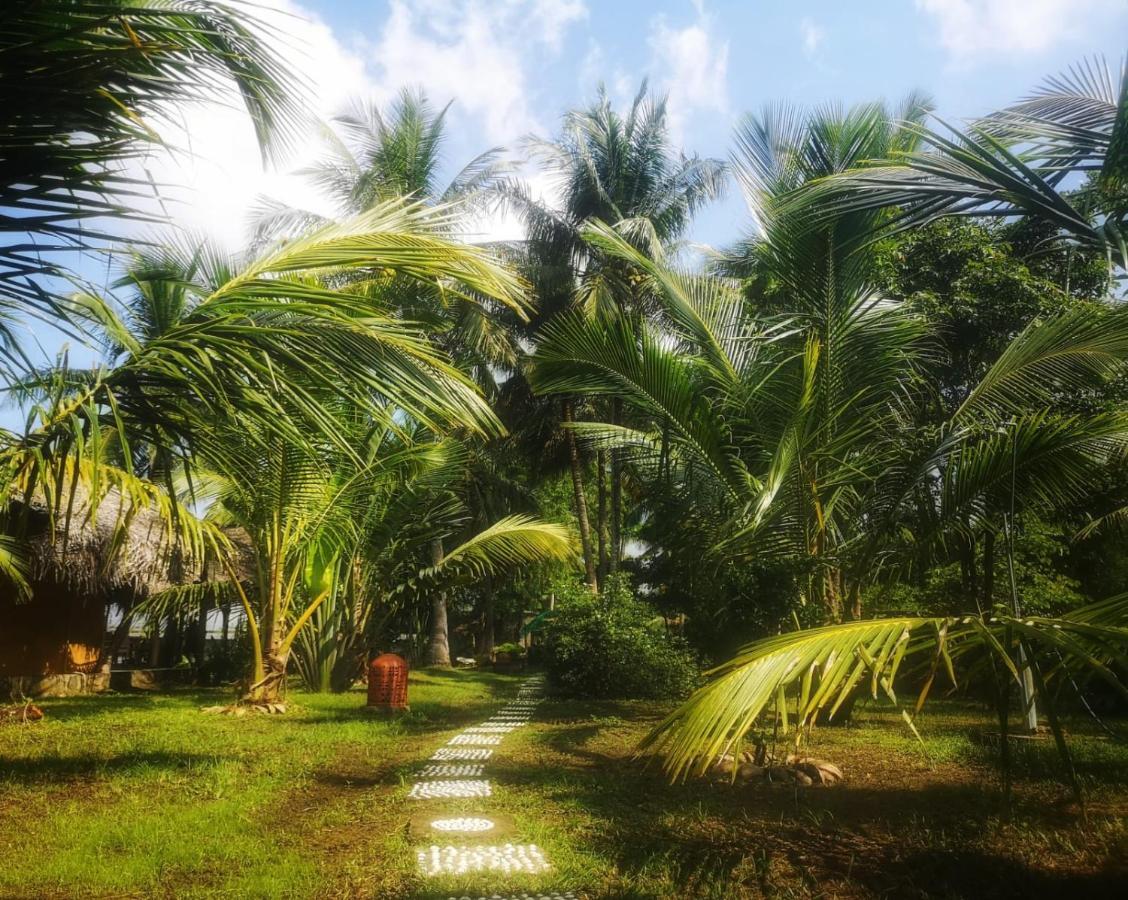 Coconut Island Villa Tangalle Ngoại thất bức ảnh