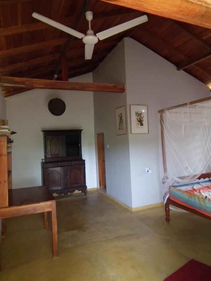 Coconut Island Villa Tangalle Ngoại thất bức ảnh