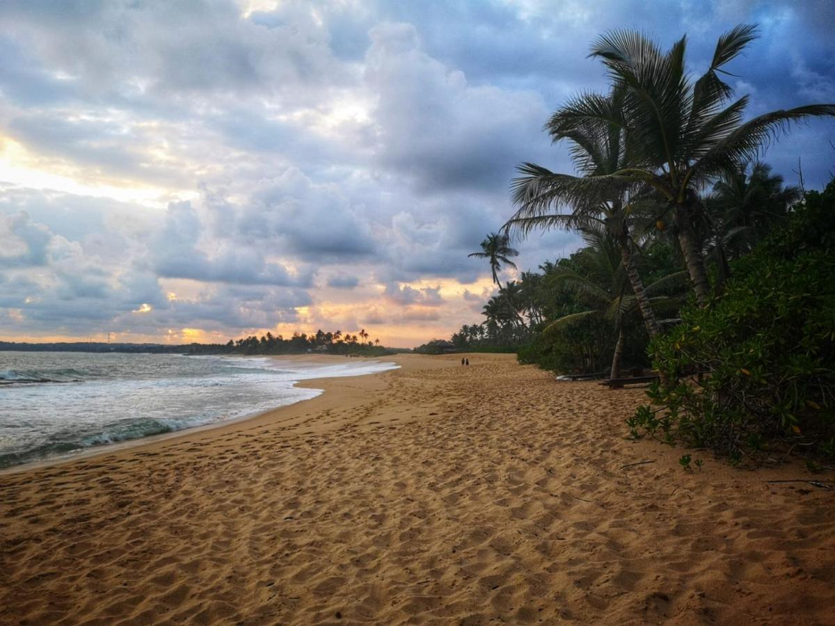 Coconut Island Villa Tangalle Ngoại thất bức ảnh