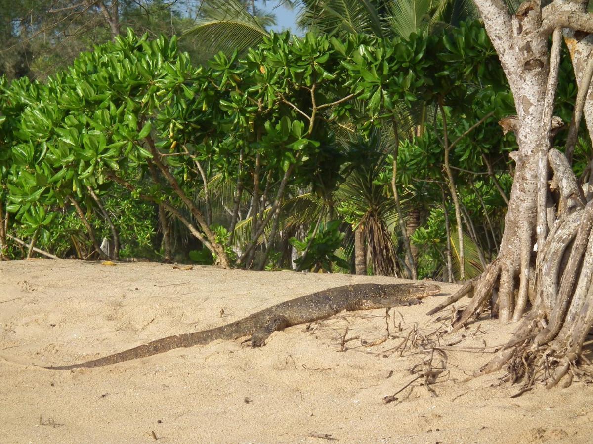 Coconut Island Villa Tangalle Ngoại thất bức ảnh