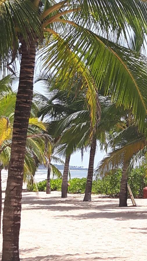 Coconut Island Villa Tangalle Ngoại thất bức ảnh