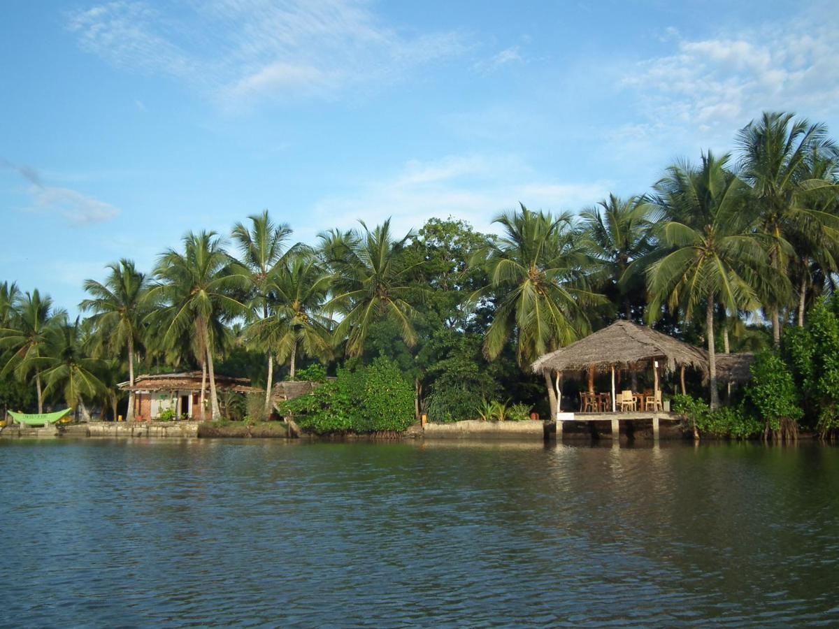 Coconut Island Villa Tangalle Ngoại thất bức ảnh