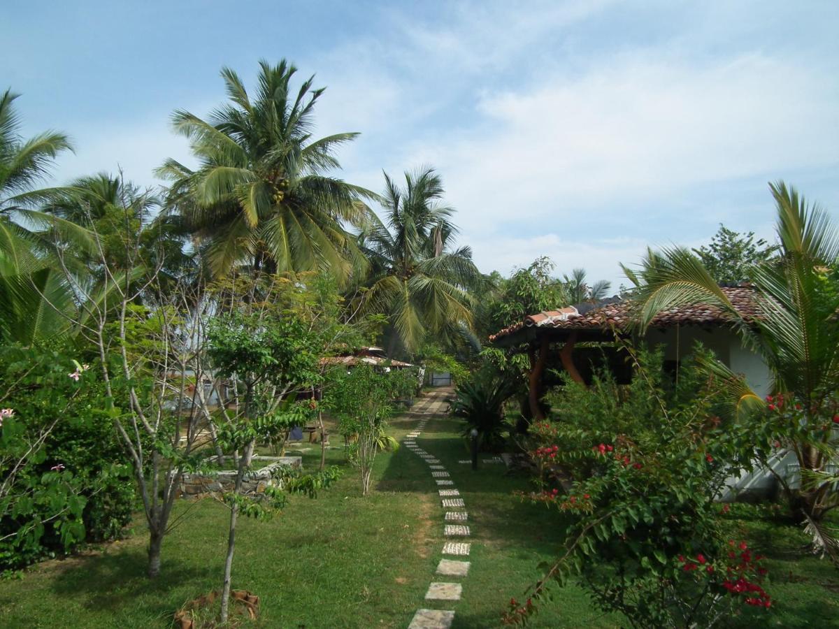 Coconut Island Villa Tangalle Ngoại thất bức ảnh